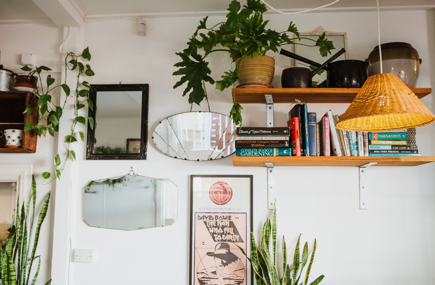 things to do sunshine coast hinterland